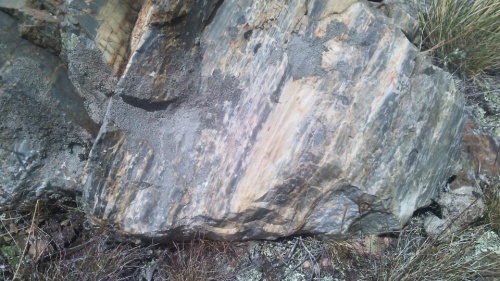 Гигантские зелёные валуны для ландшафтного дизайна весом более 5 тонн купить в Губахе